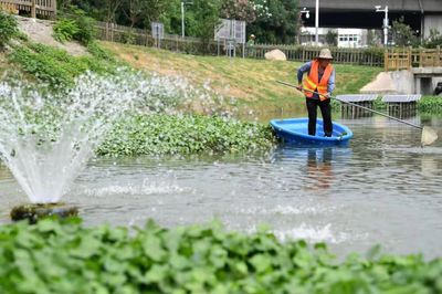 瑤海園林“提品質” 服務民生“大情懷”——普通貨物運輸的民生擔當